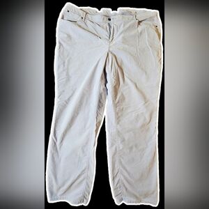 Talbots Baby Blue Velvet Pants Size 22